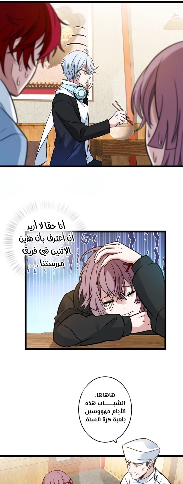 الصفحة 13