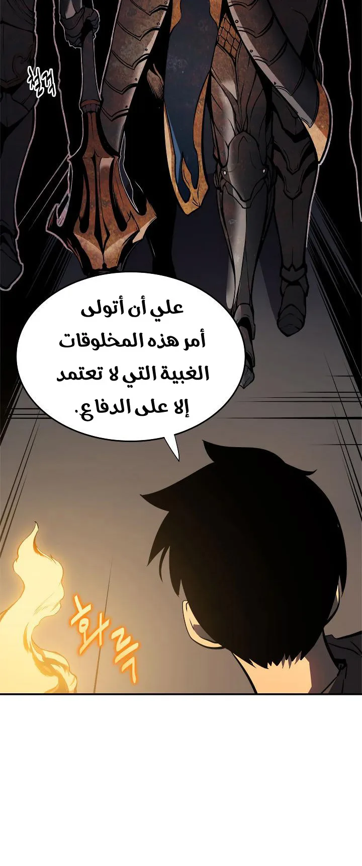 الصفحة 25