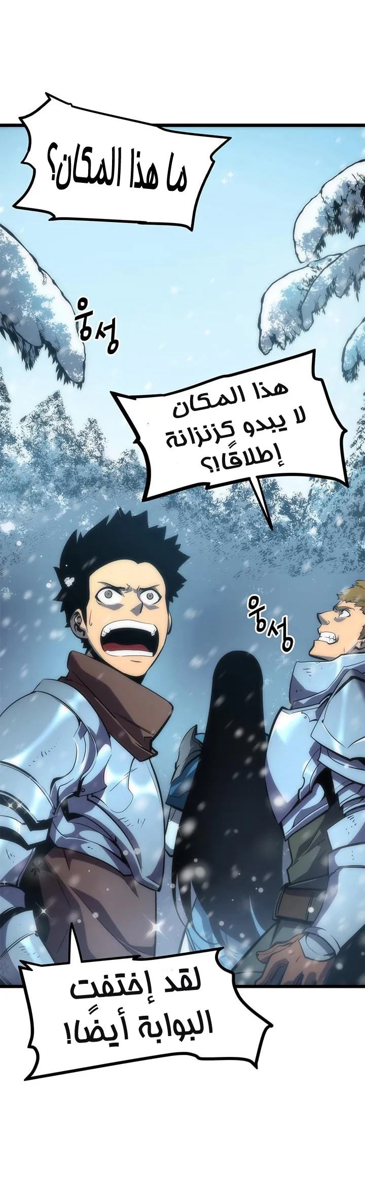 الصفحة 13