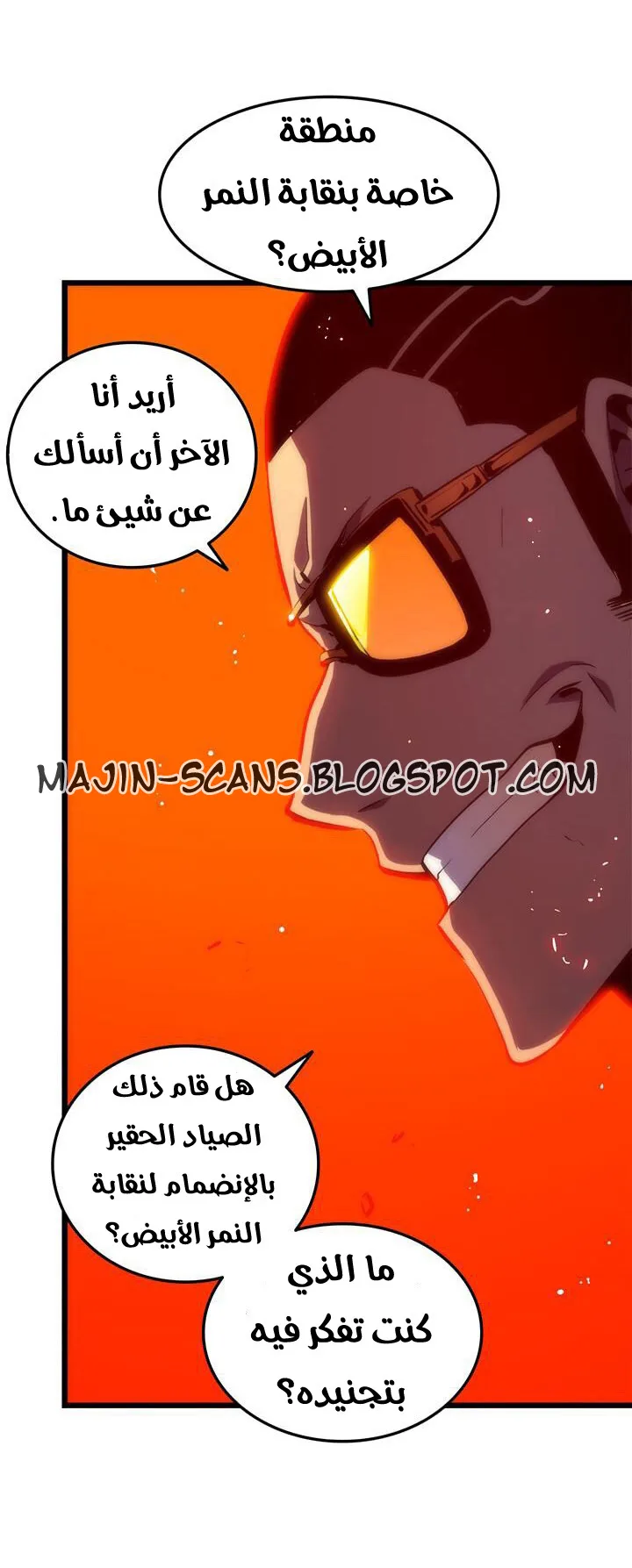 الصفحة 29