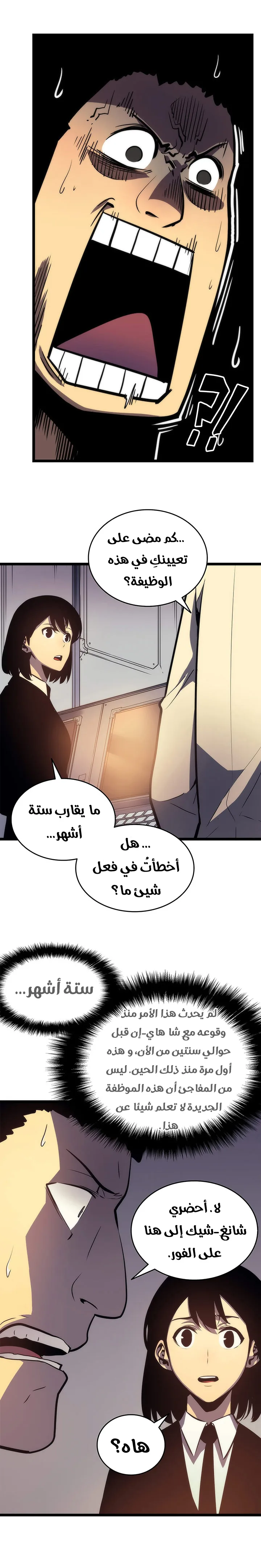 الصفحة 13