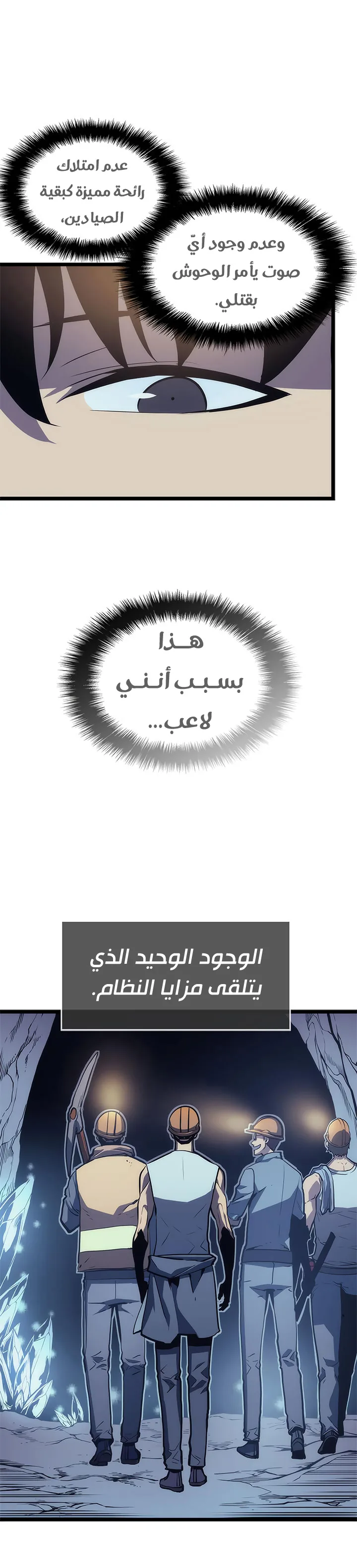 الصفحة 17