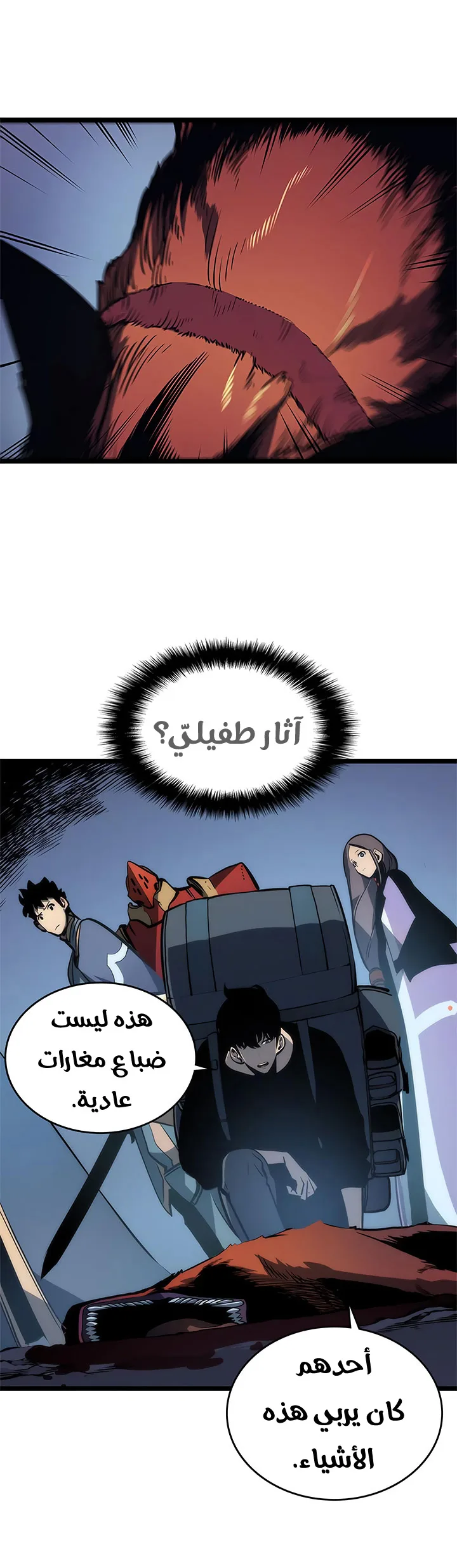 الصفحة 11