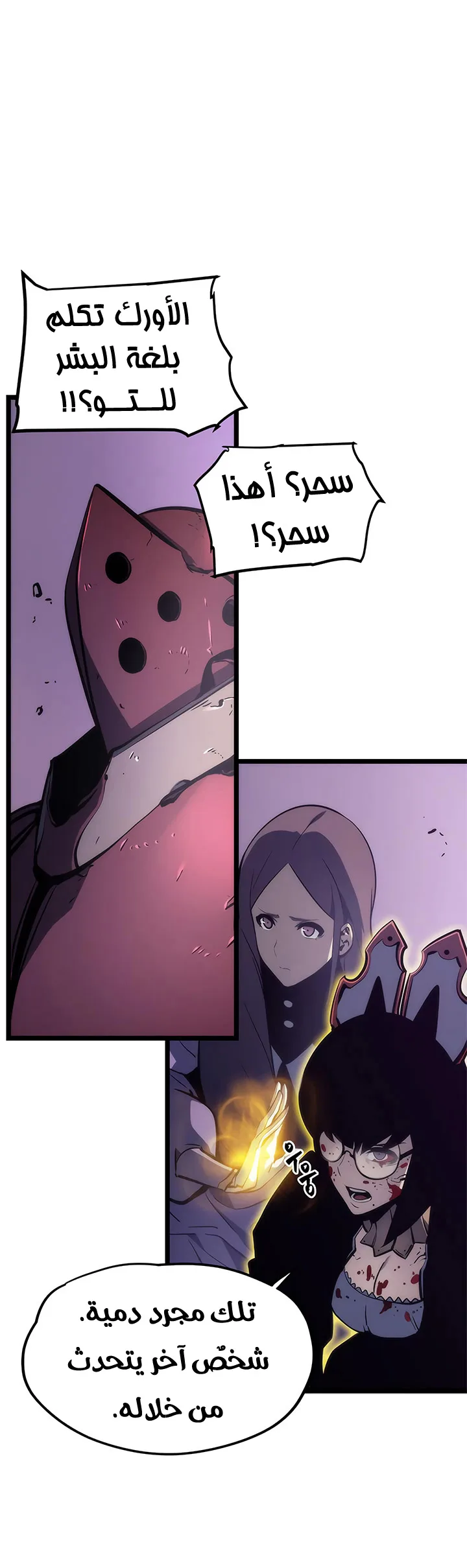 الصفحة 13