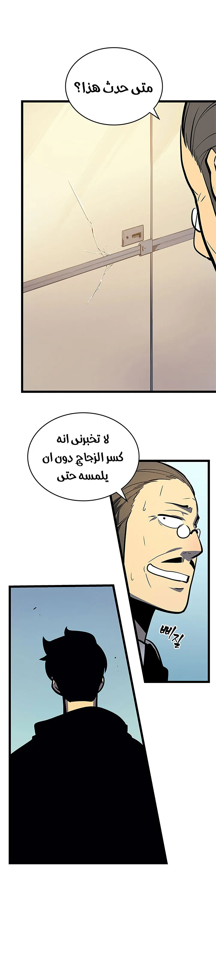 الصفحة 13