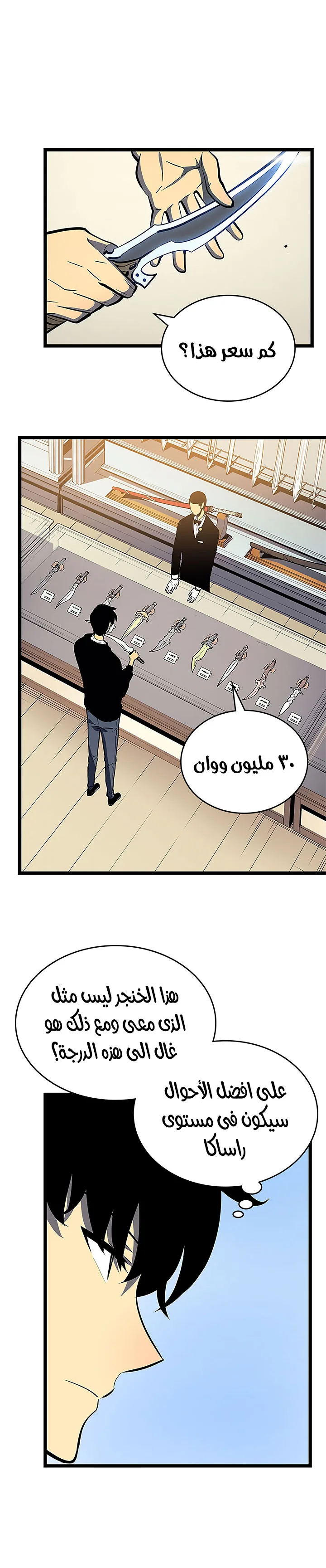 الصفحة 14