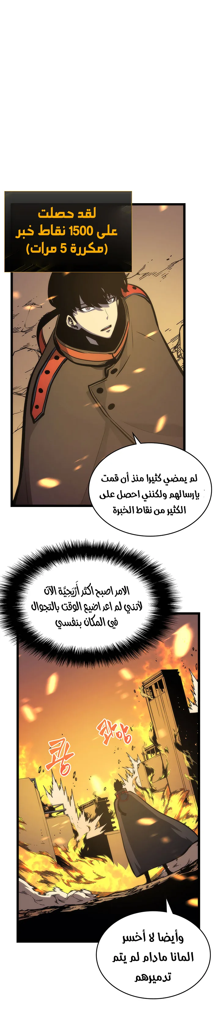 الصفحة 11