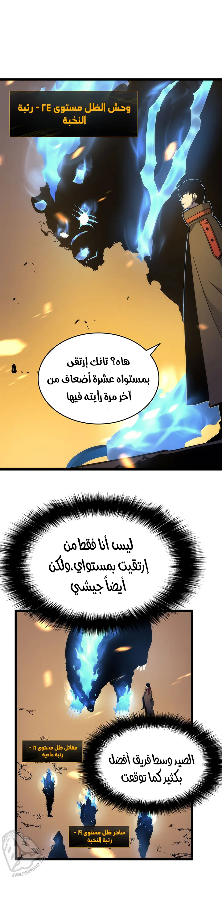 الصفحة 13