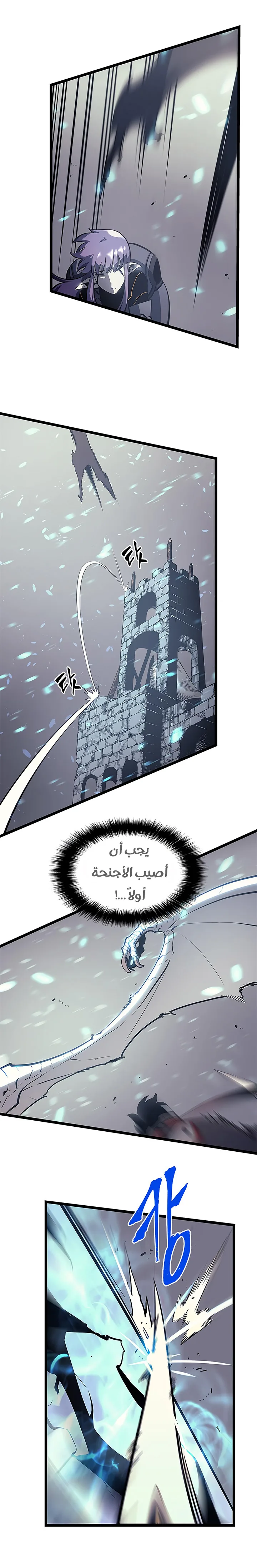 الصفحة 17