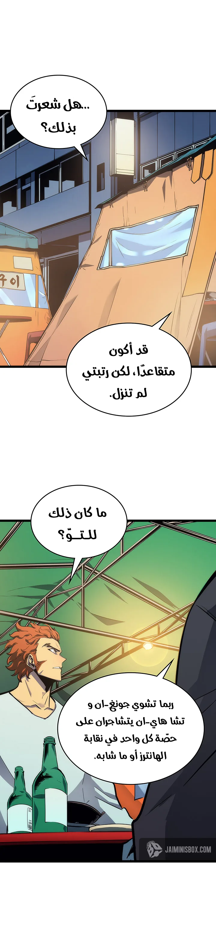 الصفحة 29