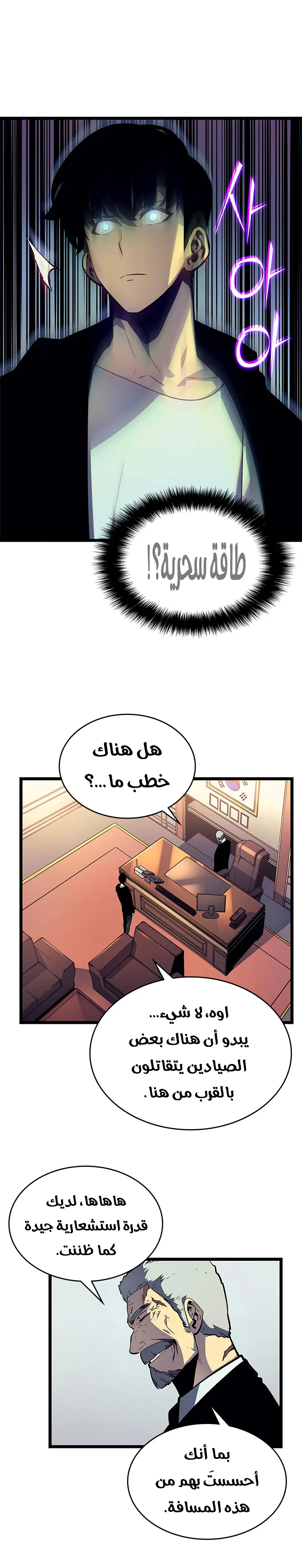 الصفحة 13