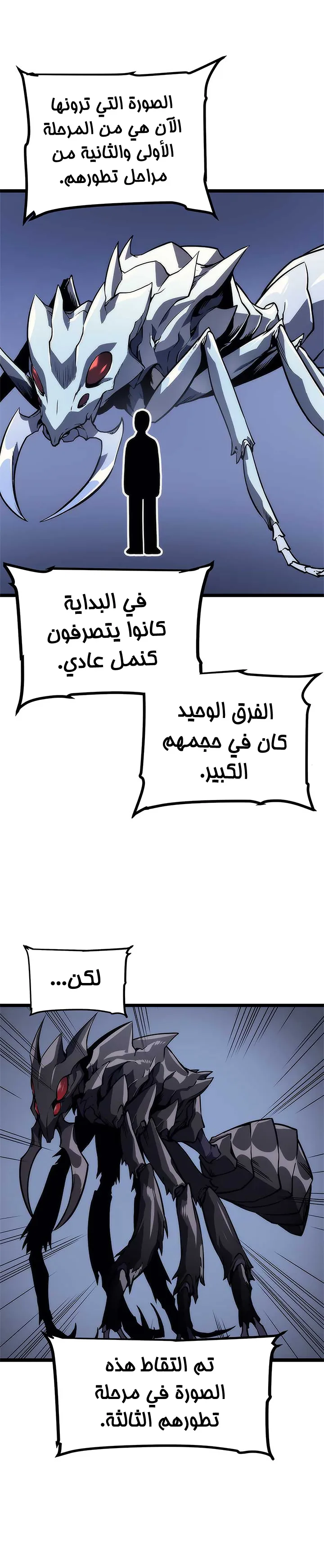 الصفحة 26