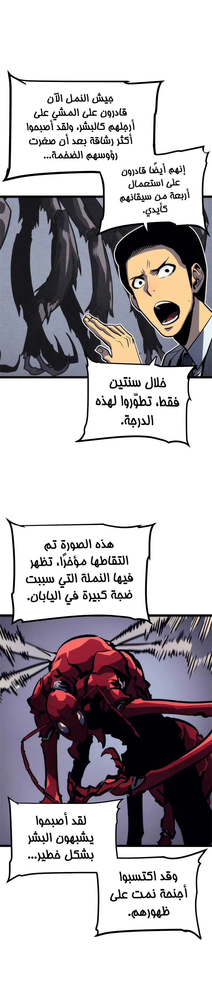 الصفحة 27