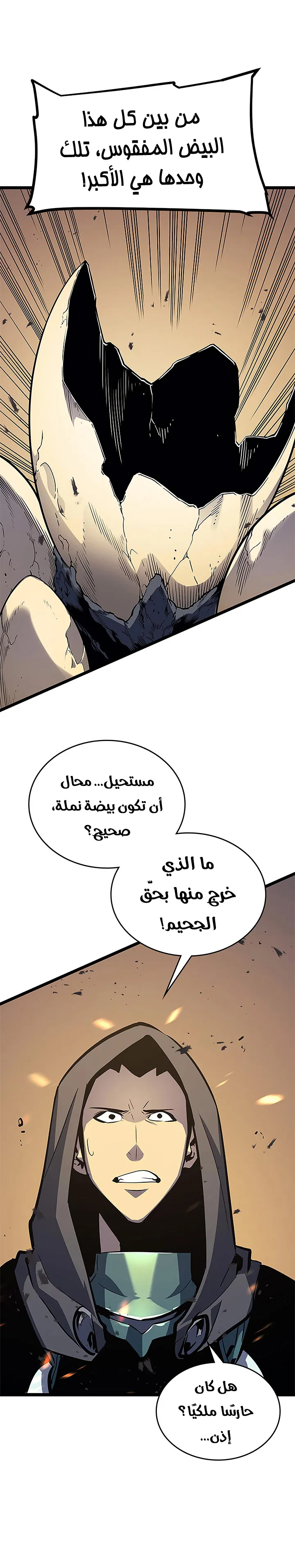 الصفحة 24
