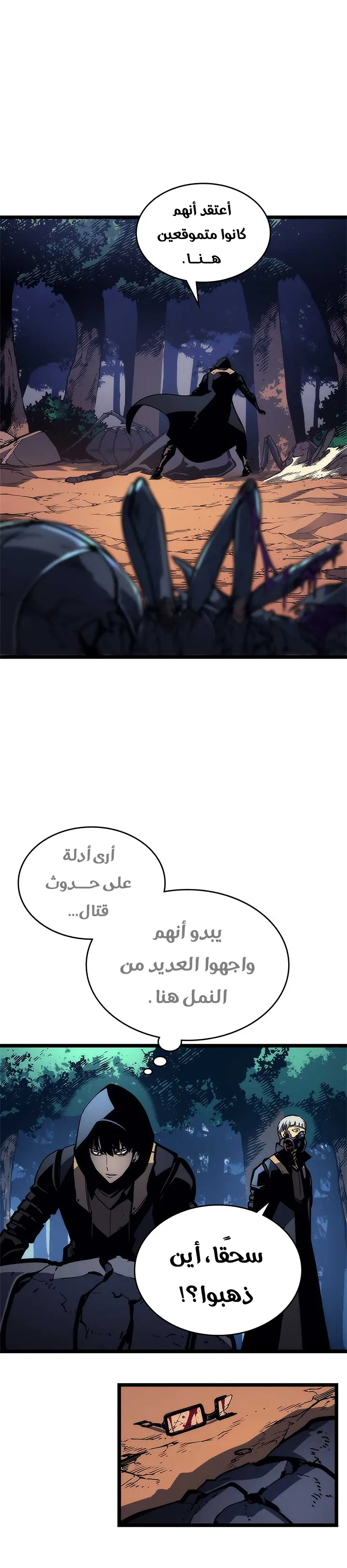 الصفحة 17