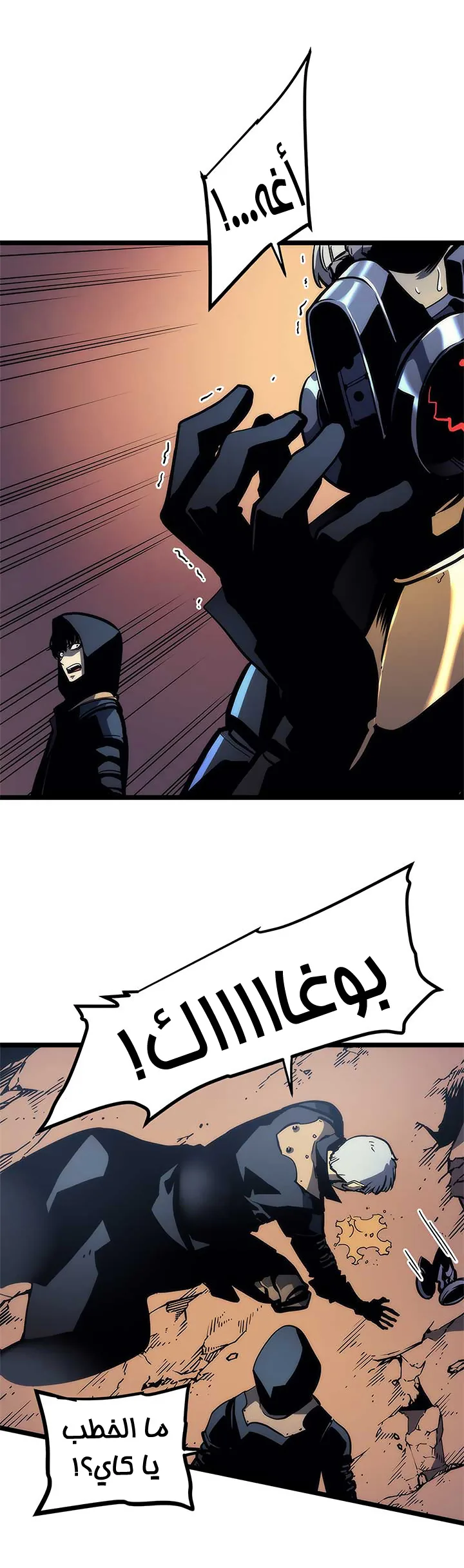 الصفحة 19