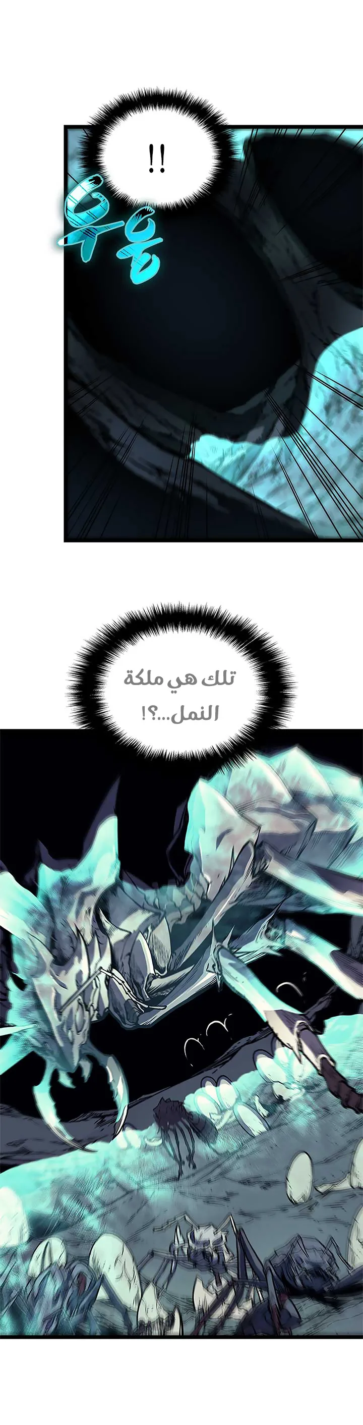الصفحة 28