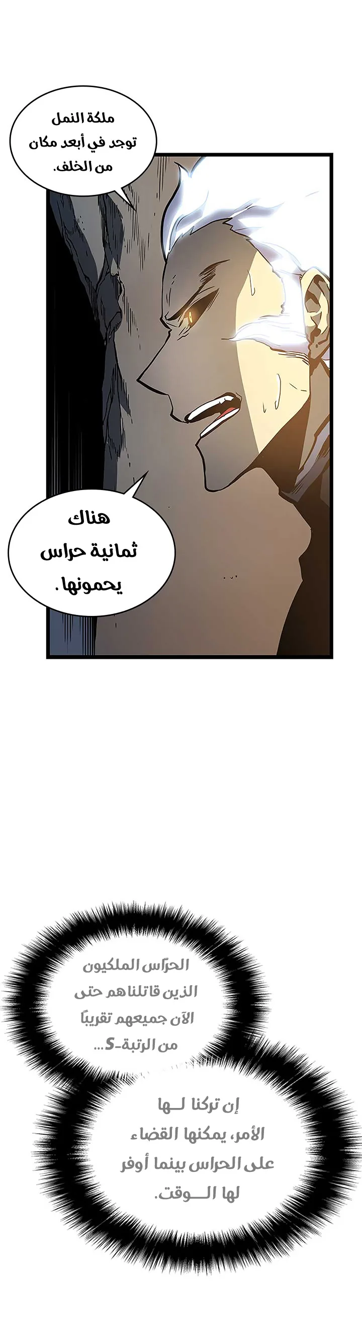 الصفحة 29
