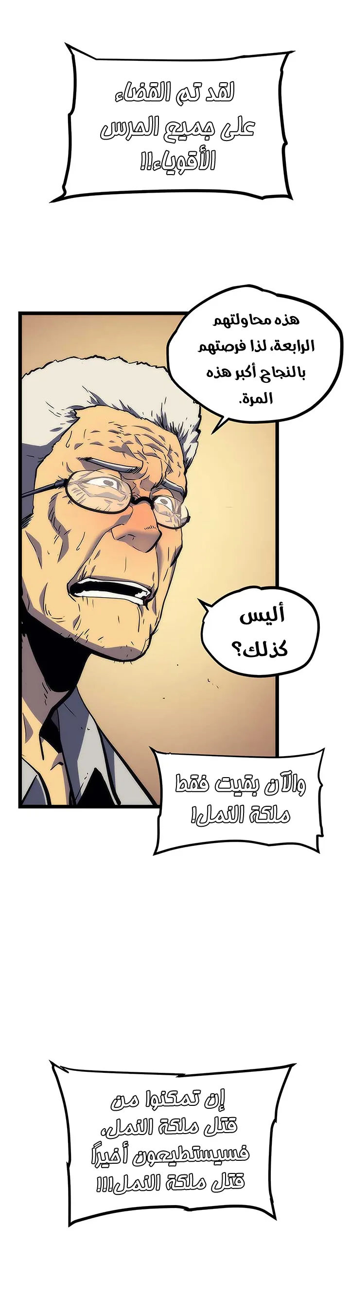 الصفحة 14