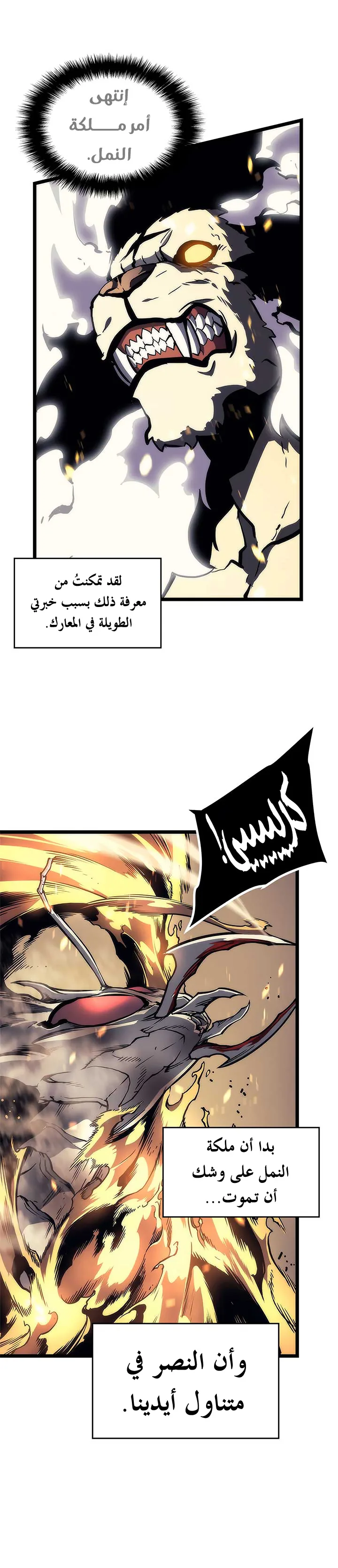 الصفحة 24