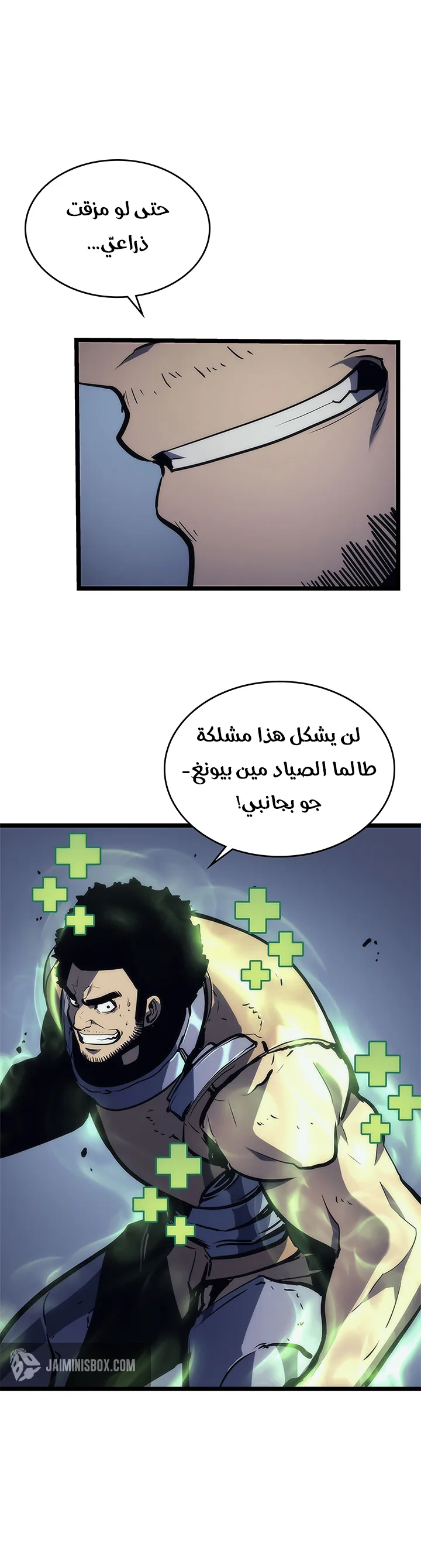 الصفحة 29