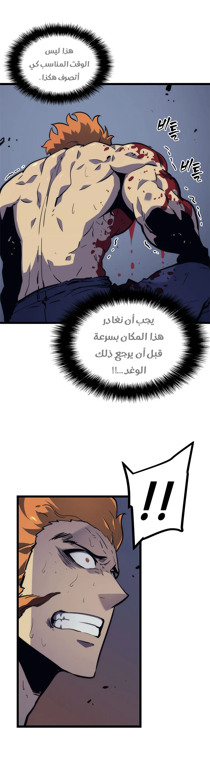 الصفحة 16