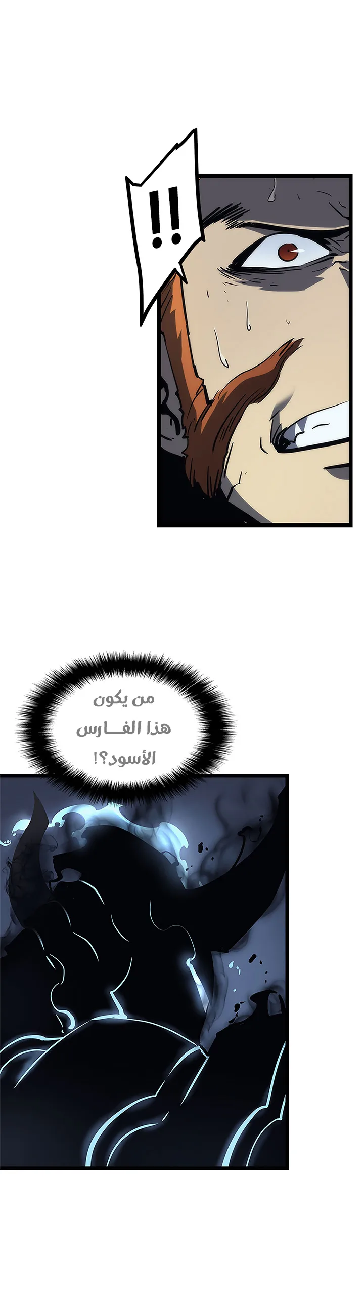 الصفحة 46