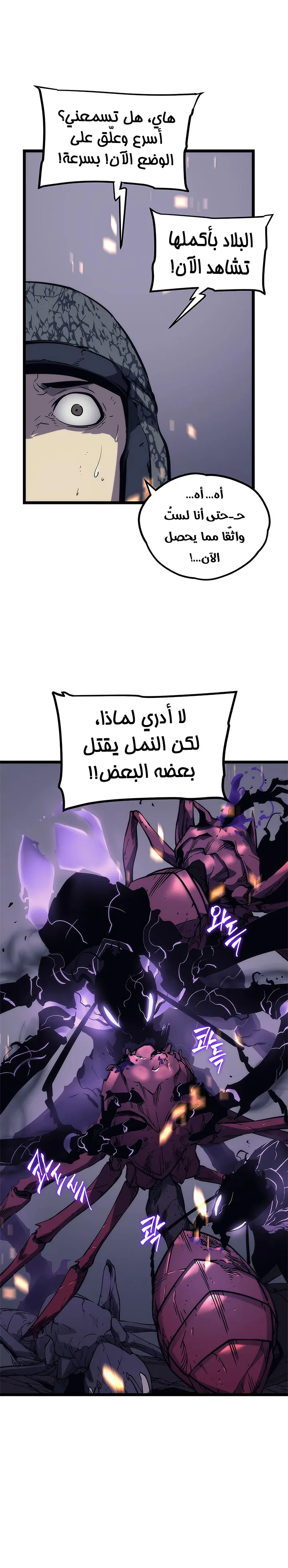 الصفحة 24