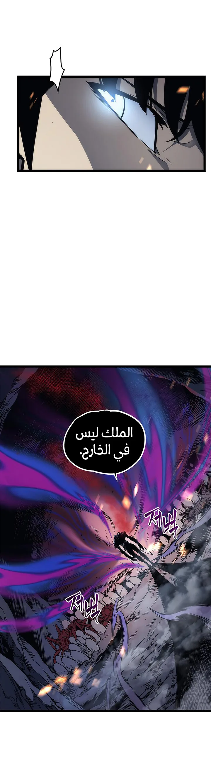 الصفحة 29