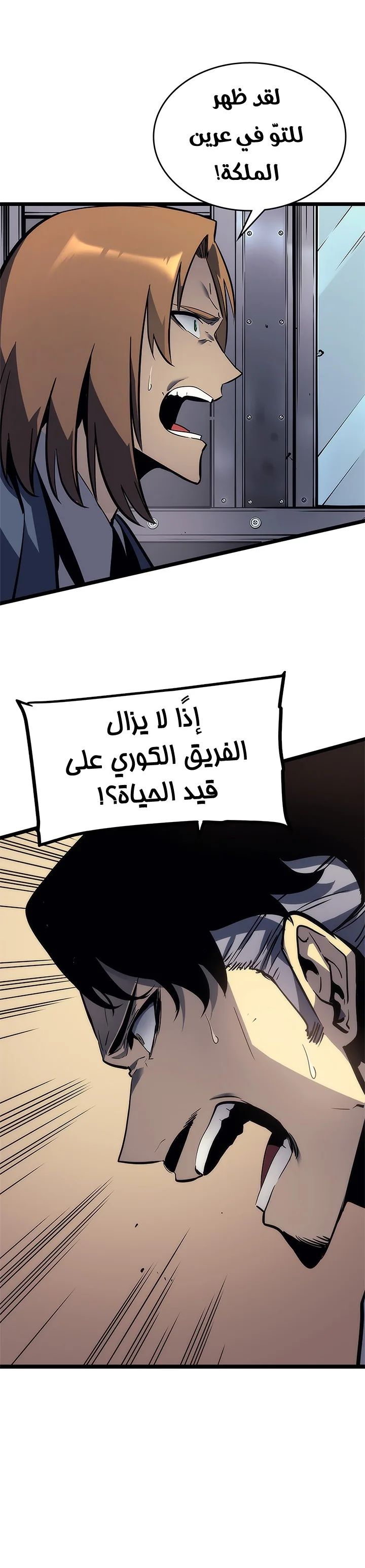 الصفحة 13