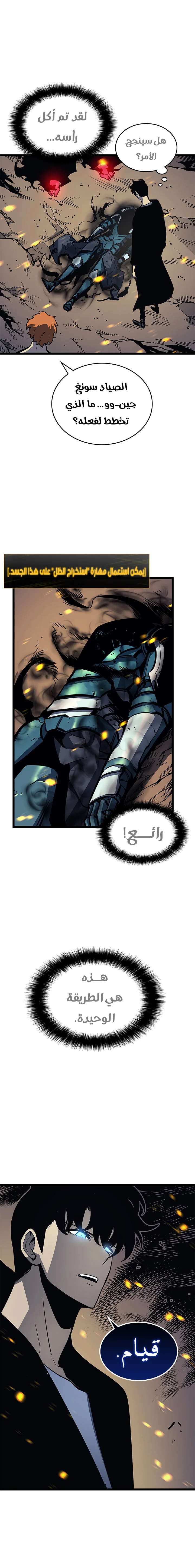 الصفحة 17