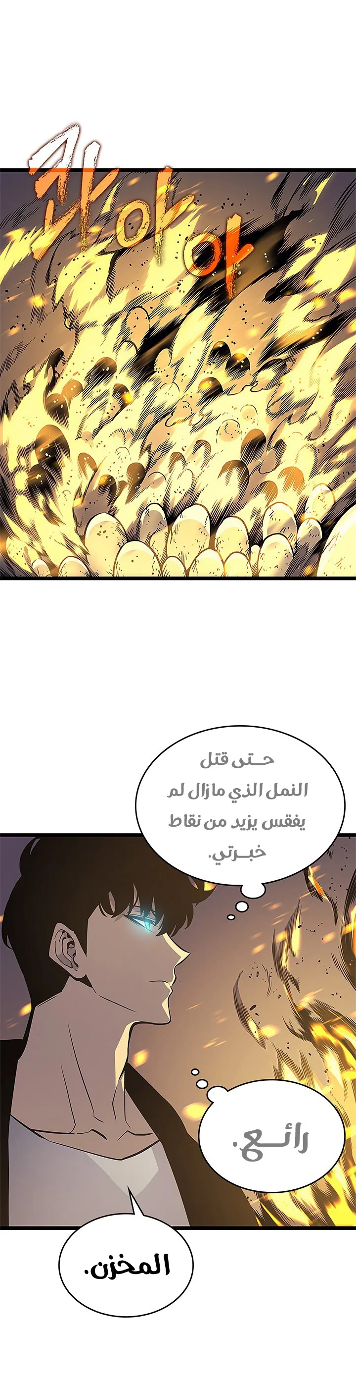 الصفحة 26