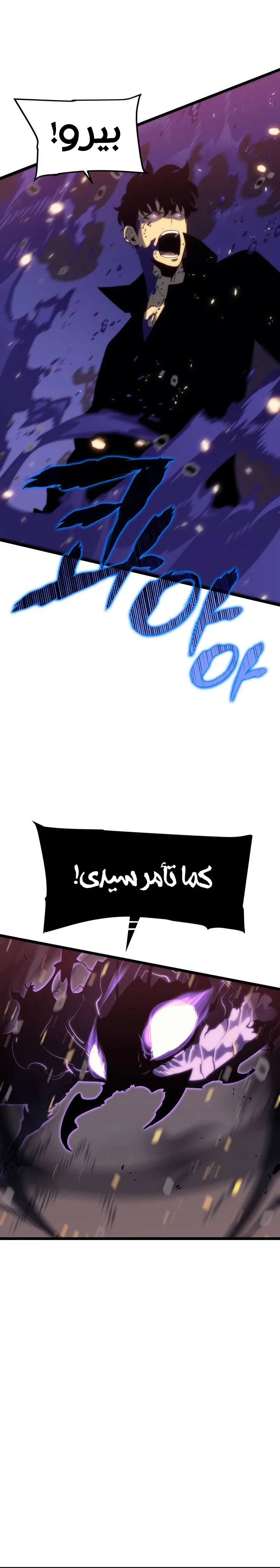 الصفحة 33