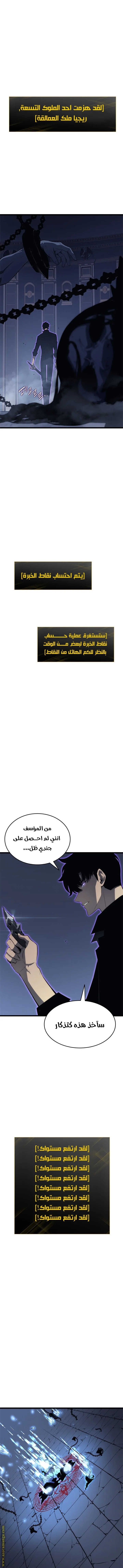 الصفحة 13