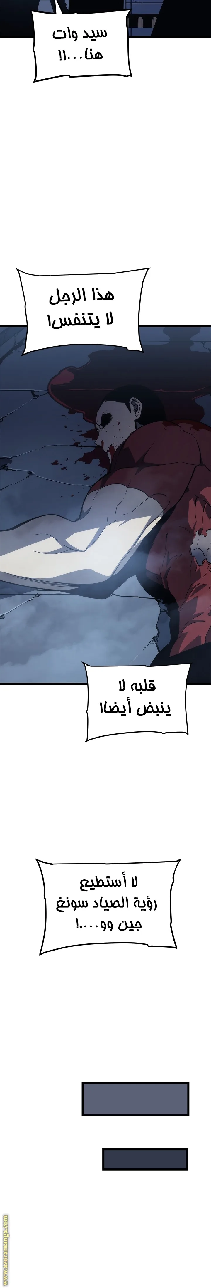 الصفحة 29