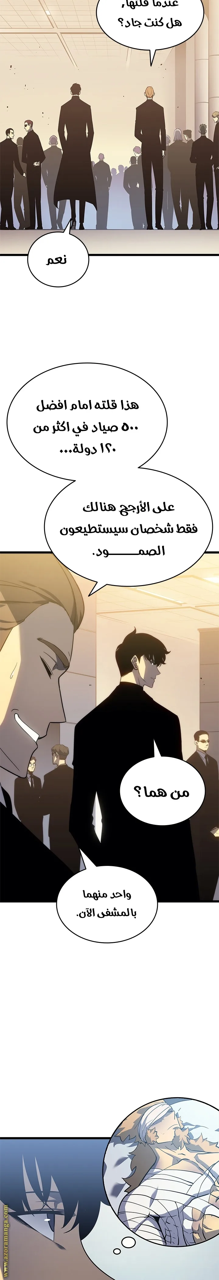 الصفحة 29