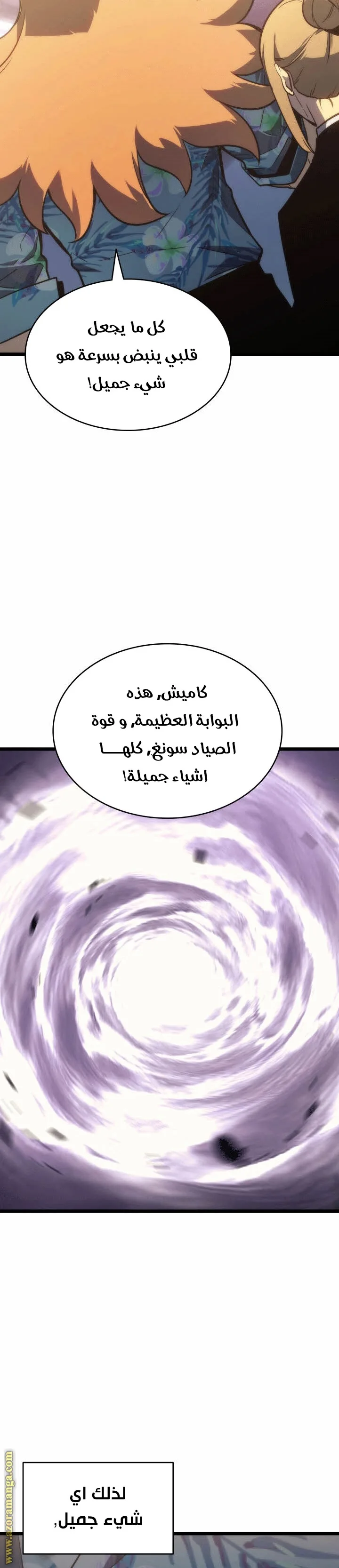 الصفحة 17