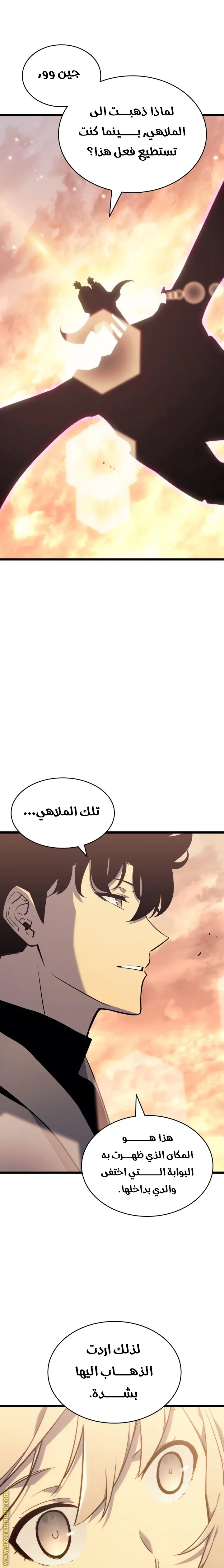 الصفحة 13