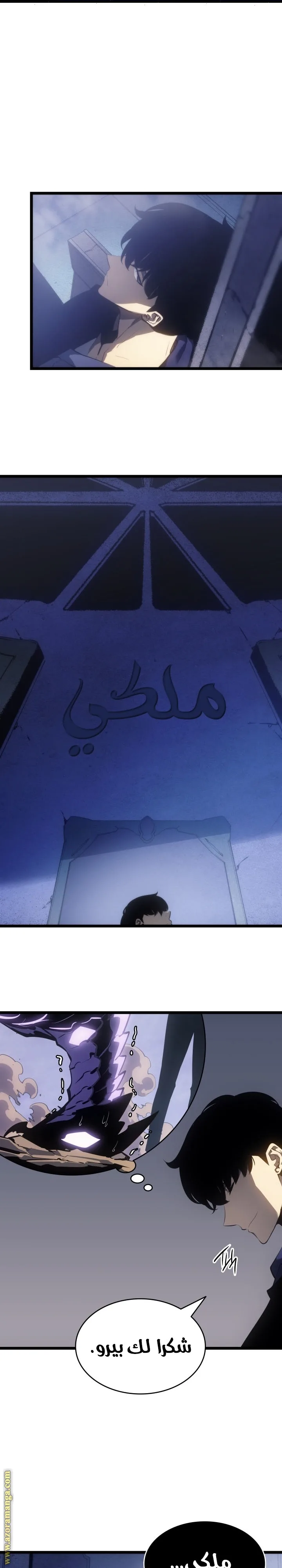 الصفحة 11