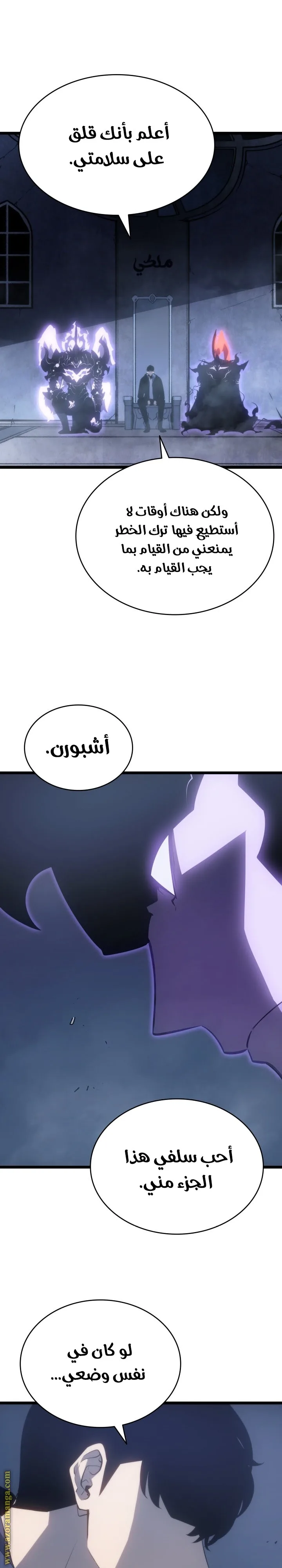 الصفحة 13