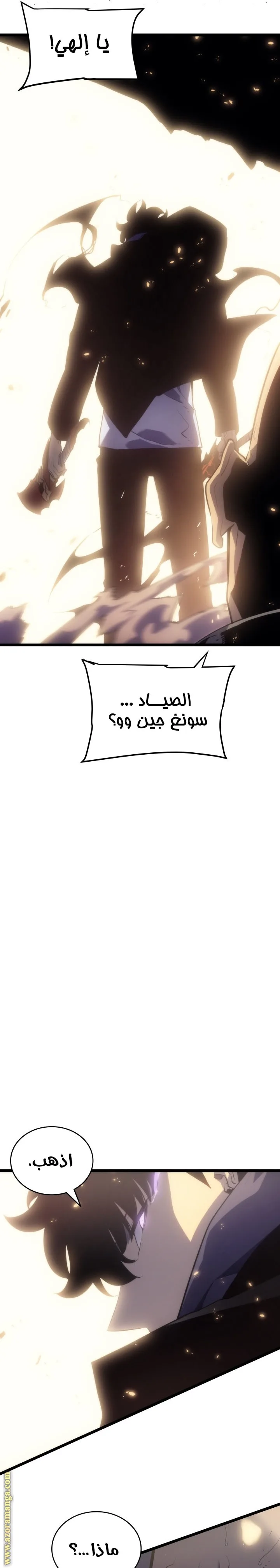الصفحة 31