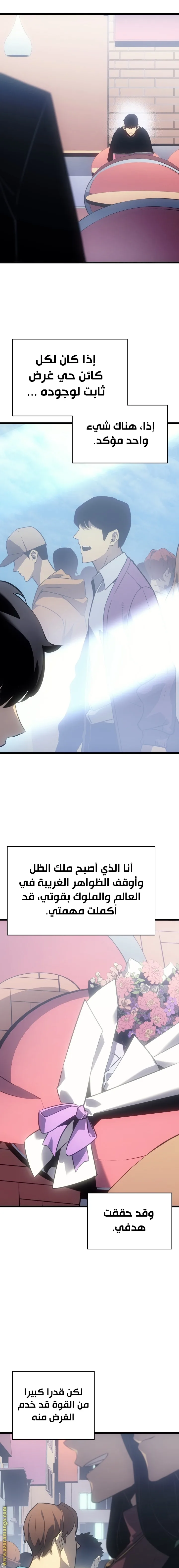 الصفحة 11