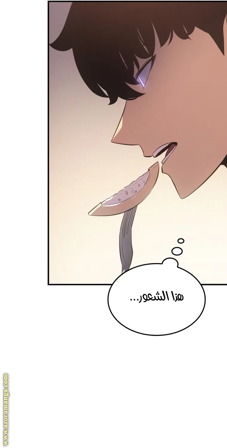 الصفحة 63