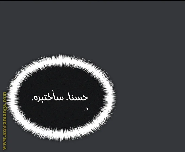 الصفحة 75
