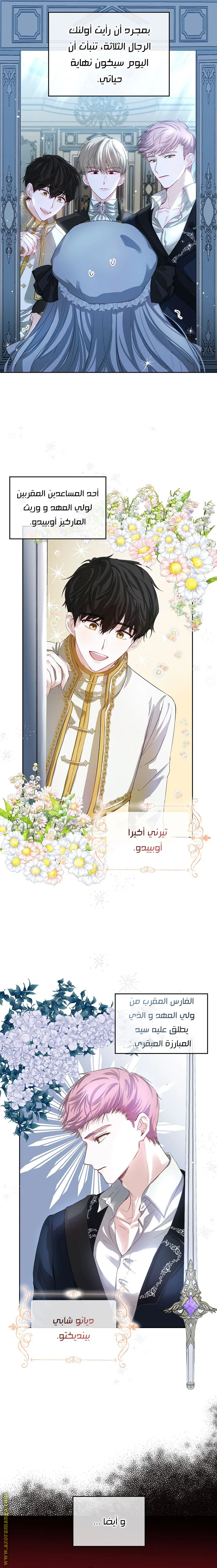 الصفحة 3