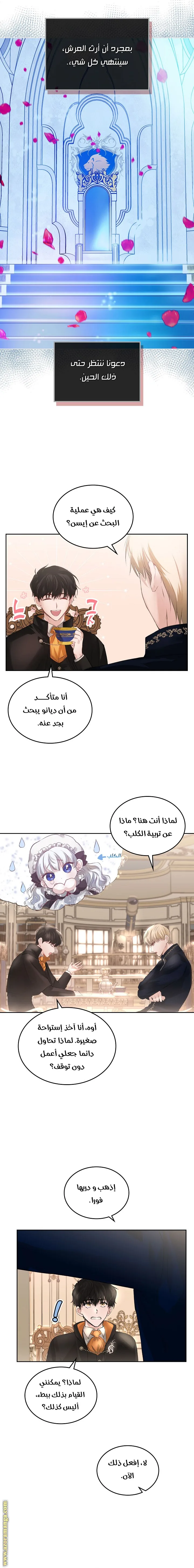 الصفحة 13