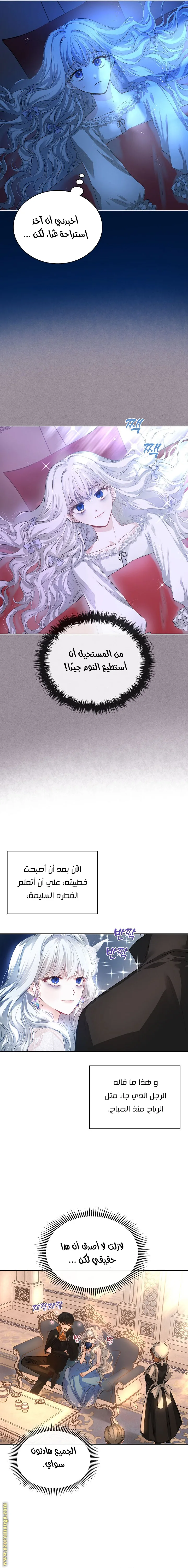 الصفحة 17