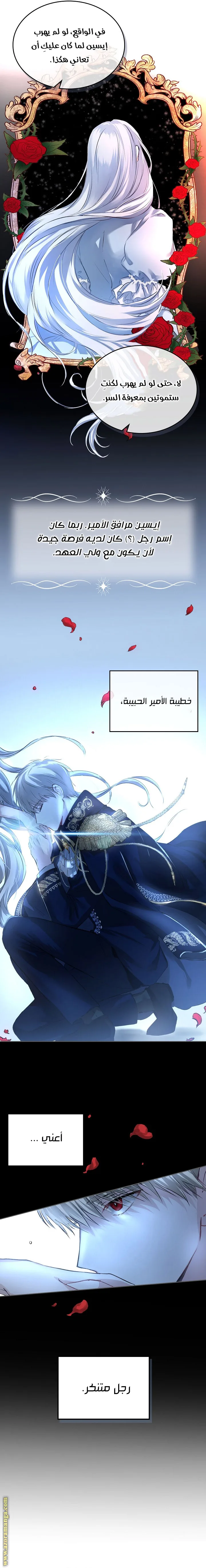 الصفحة 19