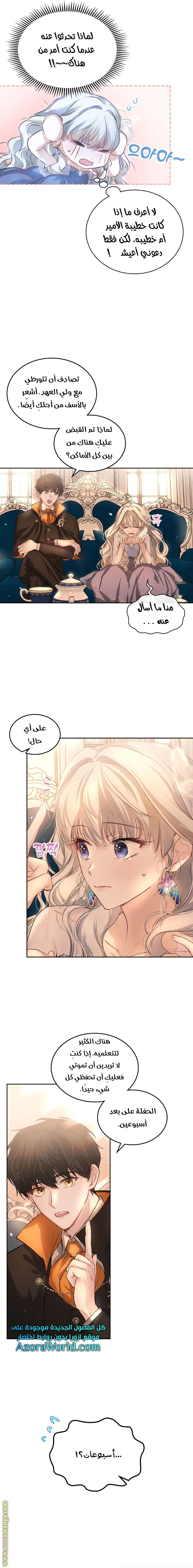 الصفحة 20