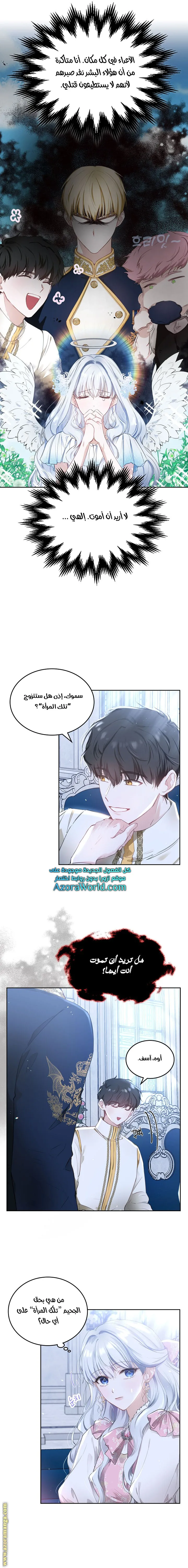 الصفحة 3